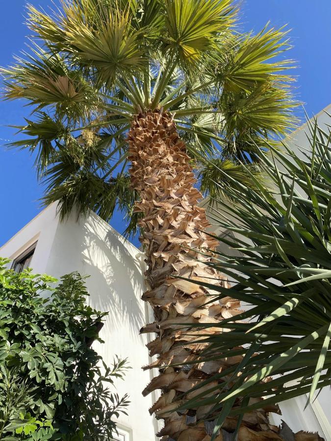Villa Sezen Kalkan Dış mekan fotoğraf